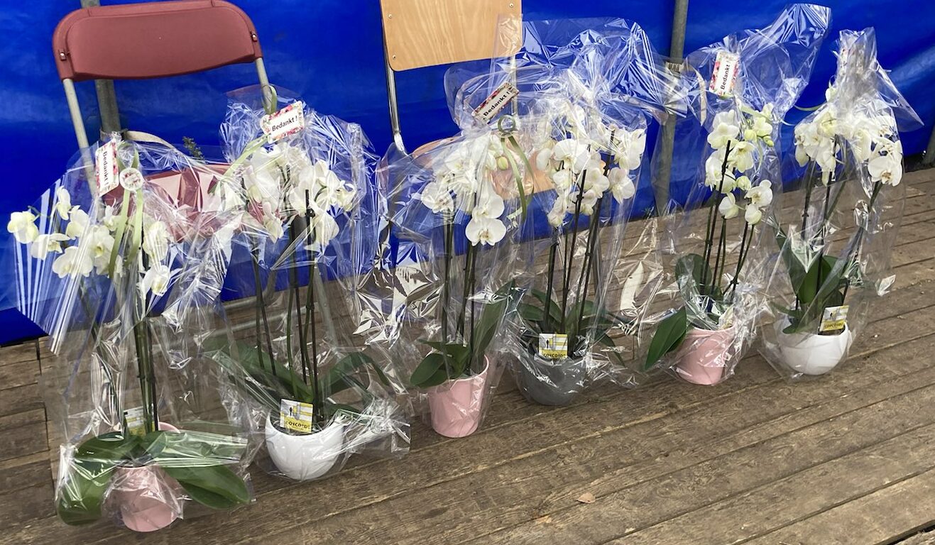 de bloemstukken voor de 'mosselsenioren'